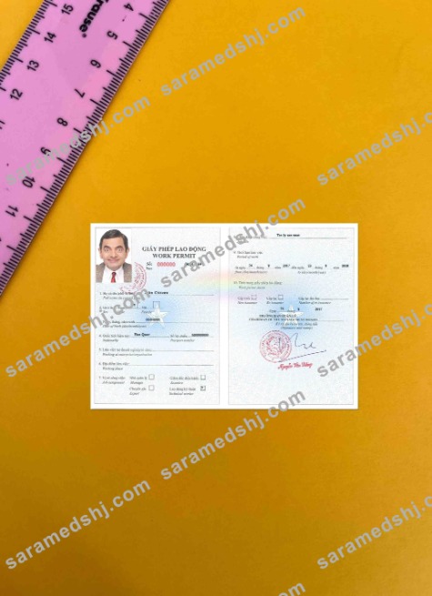 Vietnam work permit version 2 photolook